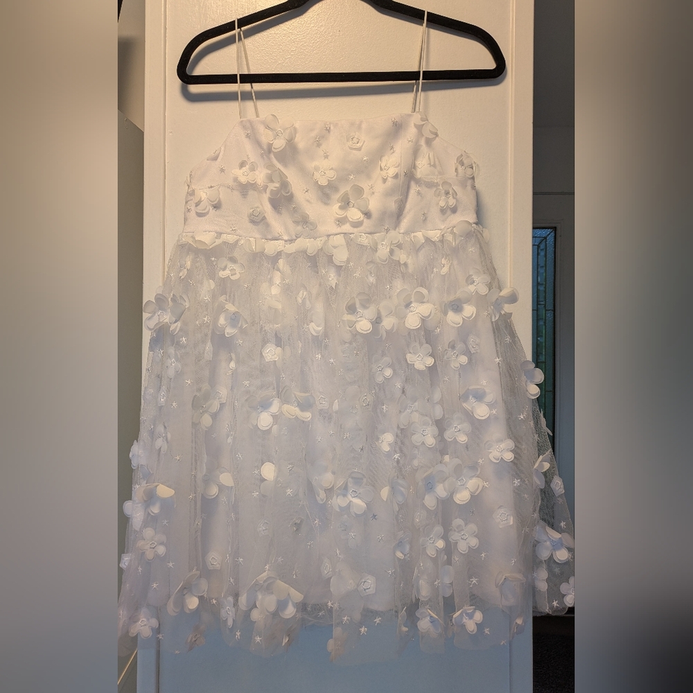 Altar’d State Aurora Floral Mesh Babydoll Dress
